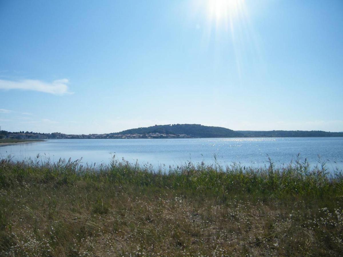 Studio Sur Le Port, Climatisation, Wifi, Piscine, Lave-Linge Gruissan Εξωτερικό φωτογραφία