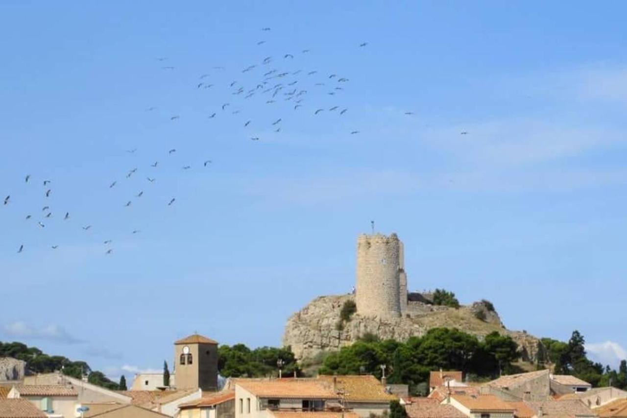 Studio Sur Le Port, Climatisation, Wifi, Piscine, Lave-Linge Gruissan Εξωτερικό φωτογραφία